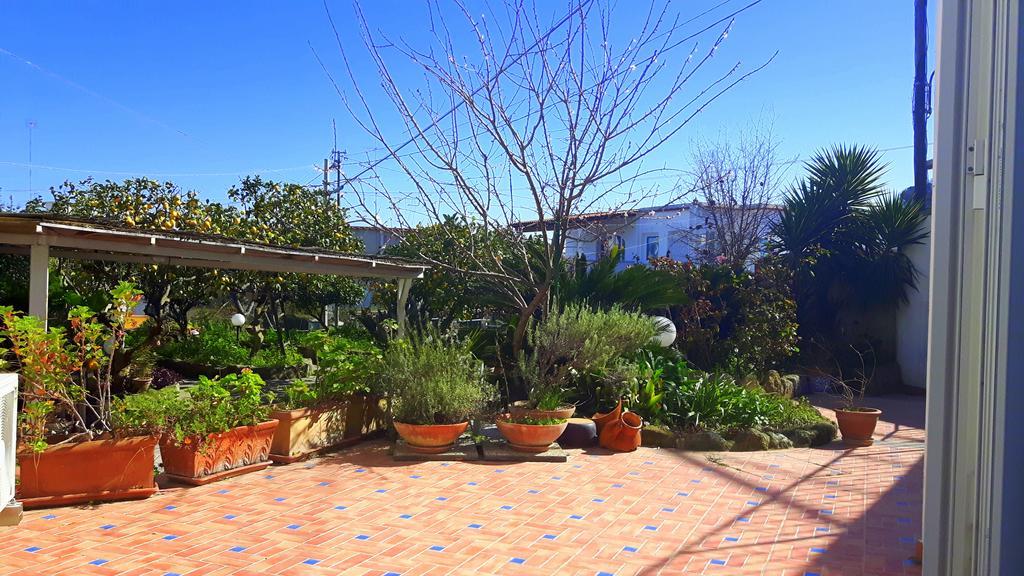 Holiday Apartments Lacco Ameno  Exterior foto