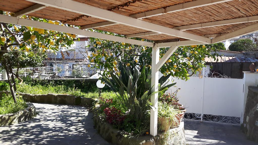 Holiday Apartments Lacco Ameno  Exterior foto